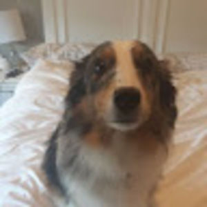 Meet your Posher, 혜진